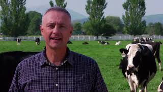 How We Make 4Life Transfer Factor for the World!