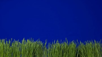Compositing material - Grass