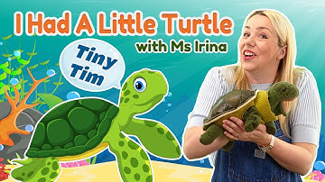 Baby Learning | I Had A Little Turtle | Tiny Tim | Nursery Rhymes | Best Baby & Toddler Videos