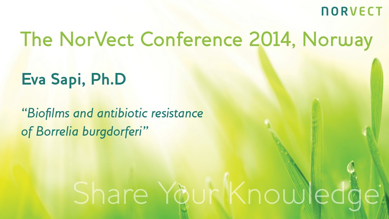 Eva Sapi, PhD, Biofilms and antibiotic resistance of Borrelia burgdorferi, NorVect 2014