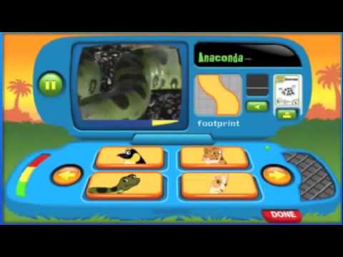 Go Diego Go in English - Diego Full Movie Game - YouTube