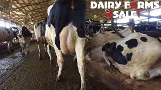 For Sale Dairy Farm with 156 Freestalls Wisconsin - SOLD!!!
