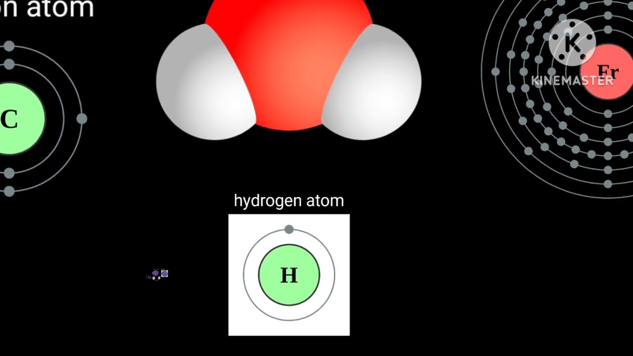 Ultimate universe size comparison 2022 part1 remake
