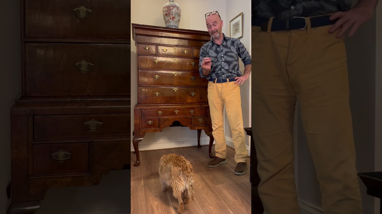 SECRET DRAWER in a 300 year old chest 