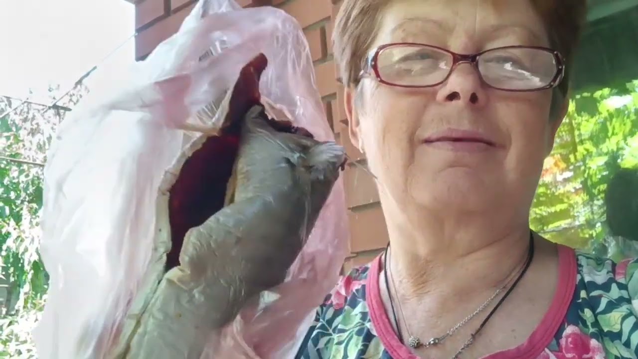 Мариуполь. Откуда будет браться вода Я не знаю.