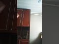Untitled video