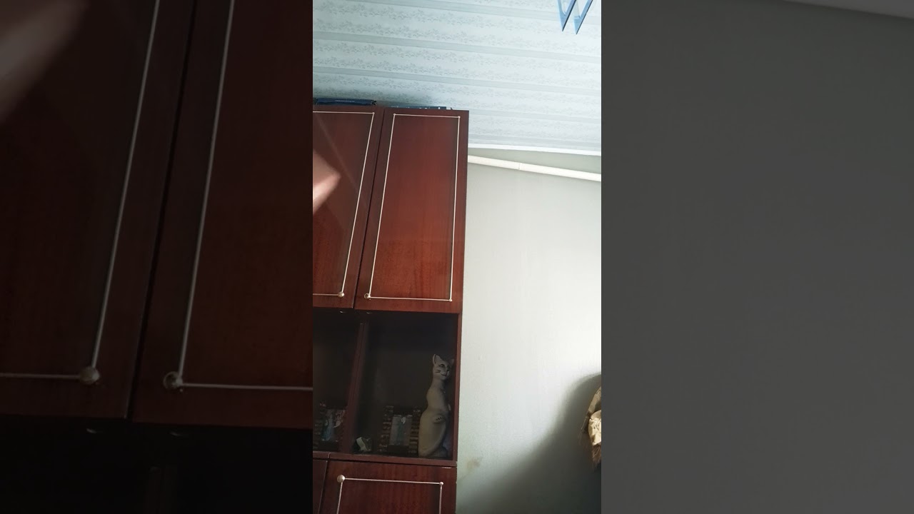 Untitled video