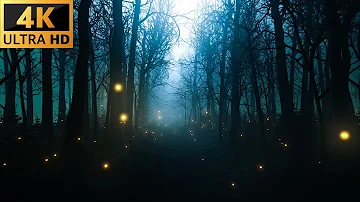Fireflies in Forest Alley in Dense Fog Dark | Relaxing, Meditation, Yoga, Sleep