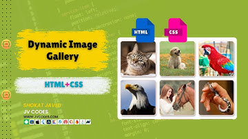 How to Build Dynamic Image Gallery with HTML and CSS? #coding #webdevelopment #webdesign #html #css
