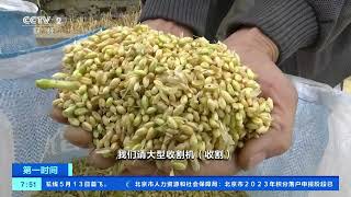 [第一时间]四川梓潼：农机助力 小麦收割与后续备耕一气呵成| 财经风云