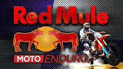 RED MULE rando à Saint Félix de Villadeix 26 10 2019