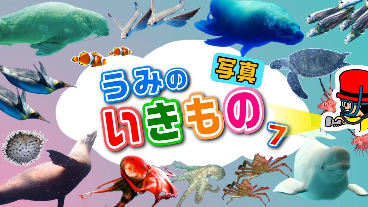 子供が喜ぶ水族館】海の生き物の写真⑦お魚さんたちが大集合！さかなの
