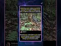 Rare Striped Wild Mammal Switches From Ground #foryou #fyp #animals #funny