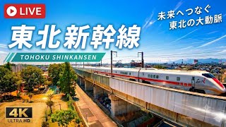 🚄東北新幹線 郡山 LIVE🔴REC ライブカメラ 鉄道 爆速 MAX320km/h Shinkansen TOHOKU🗾Japan disney