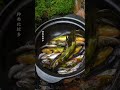 Catch Fish, Forage Mushrooms &amp; Cook Soup By The Stream! 🐟🍄🔥