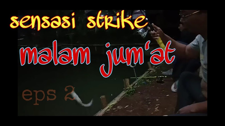 keseruan mancing ikan lele di kolam harian saat malam hari pada malam jum'at