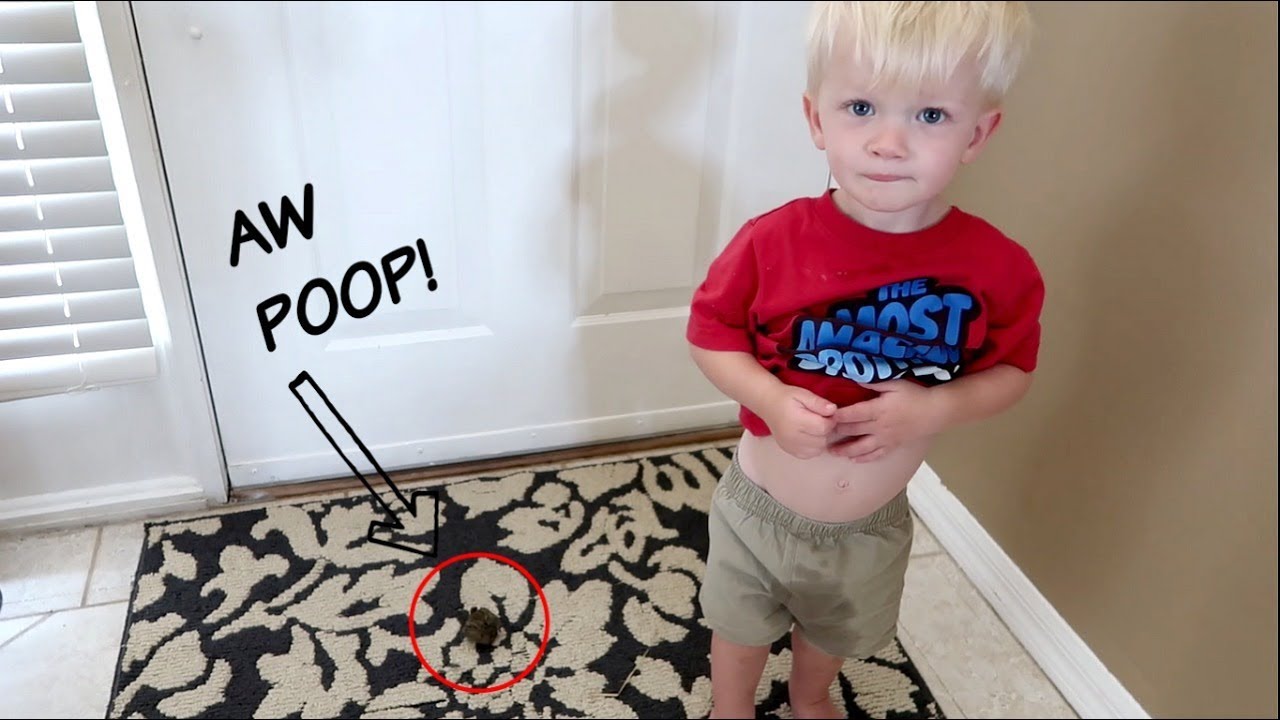 POTTY TRAINING...AGAIN YouTube