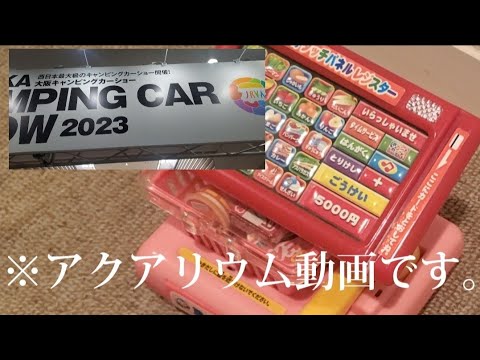 Vlog的なアクアリウム動画です #トールマン#大阪キャンピングカーショー#ゴールデンハニードワーフグラミー