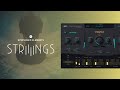 @ujam Instruments presents: Symphonic Elements STRIIIINGS