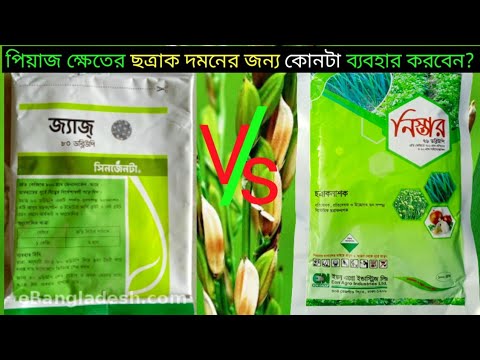 ভিডিও: কোলচাক কীভাবে বিদেশীদের ট্রান্সসিব দিয়েছিলেন এবং নিজেকে নষ্ট করেছিলেন