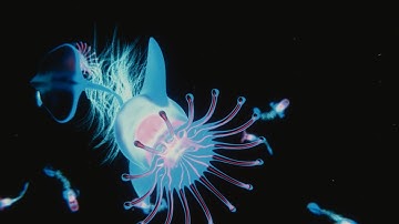 Blender Show Reel 2017.