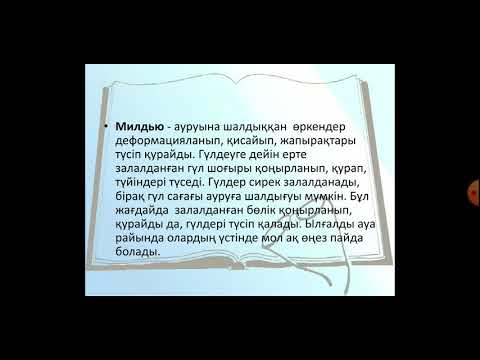 Бейне: Көгершіндер аурулары және оларды емдеу