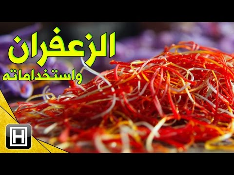 فيديو: ما هي الأطباق التي تحتاجها الزعفران؟