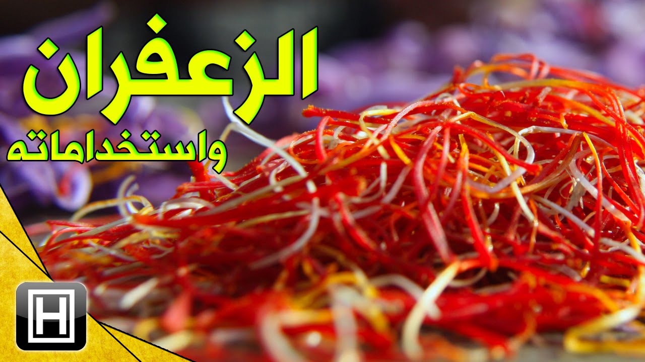 الزعفران معلومات عن بحث علمي