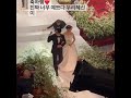 Park Shin Hye and Choi Tae Joon walks down the aisle🥰 #shorts