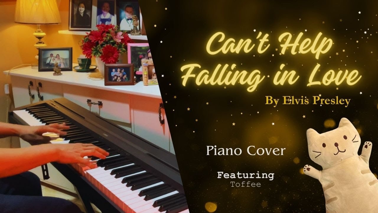 Can't Help Falling in Love | Elvis Presley | Piano Cover - YouTube