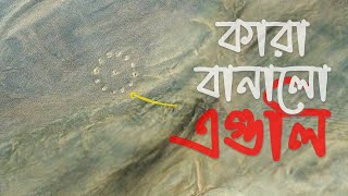 সাহারা মরুভূমির গভীরে এইগুলি কে বা কেন তৈরি করেছে? Who made these mysterious shapes in Sahara?