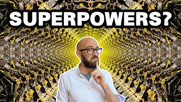 What Happens When You Stick Your Head Into a Particle Accelerator?