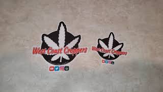 Slaps from West coast croppers!!🥰