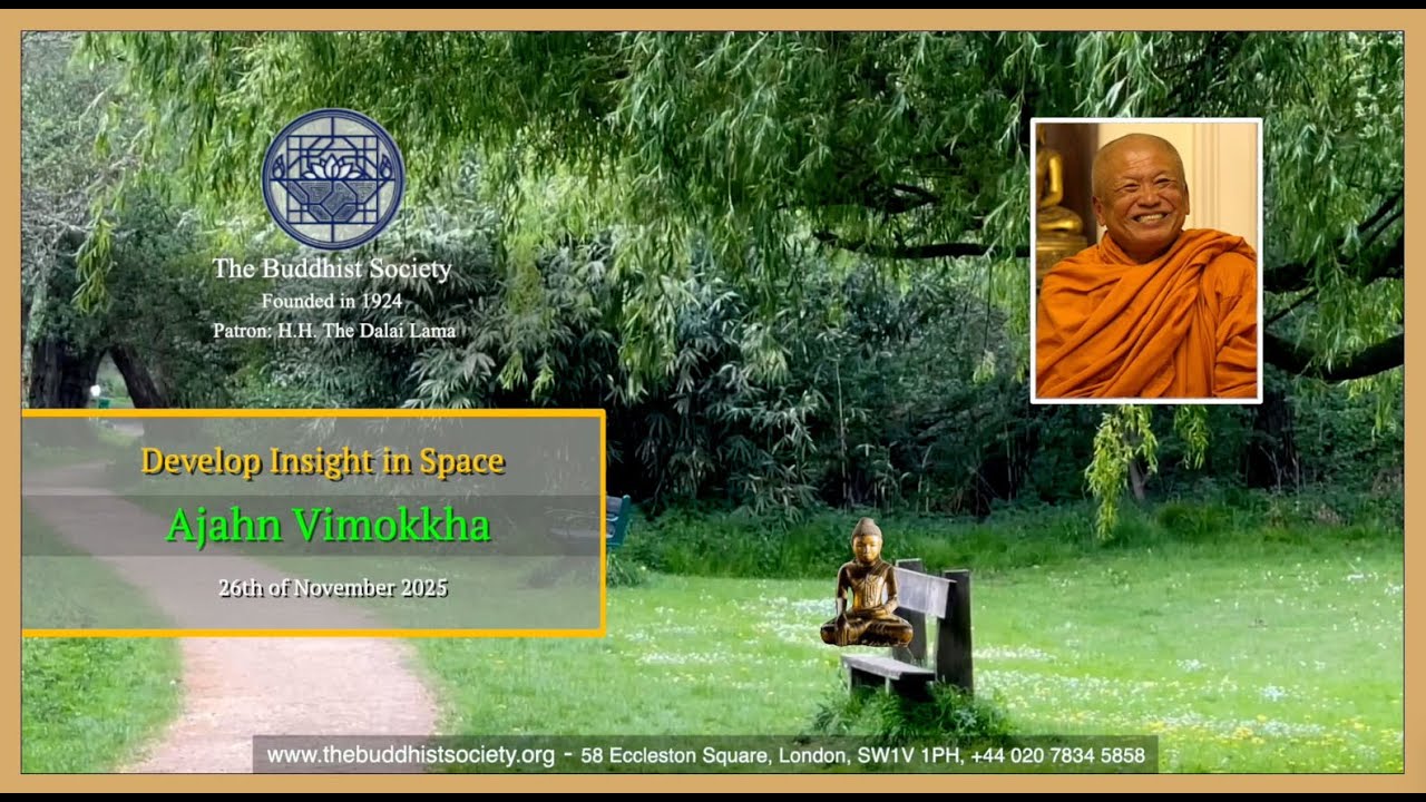 Develop Insight in Space by Ajahn Vimokkha  26th November 2025