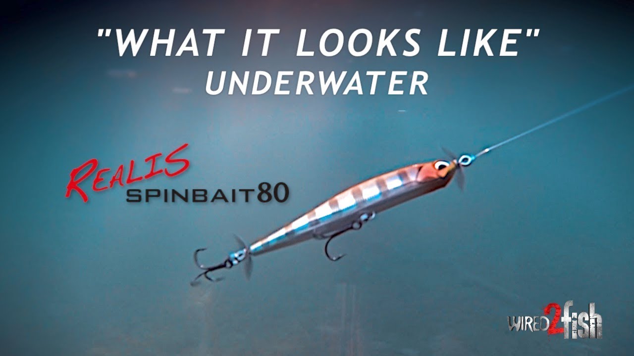 DUO Realis Spinbait 80 (Spybait) UNDERWATER 