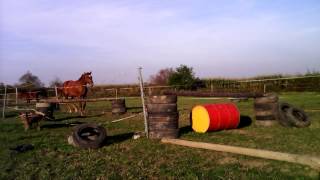 VID 20140929 171646