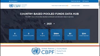What is the CBPF Data Hub?