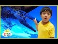 Dinosaur Science Children's Museum for kids with Ryan ToysReview