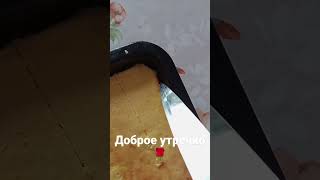 #доброеутро #дождьзаокном #пирог #творожники #вкусно