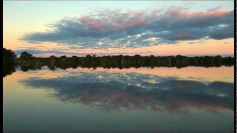 Managing Phytophthora Dieback in south-west Western Australia