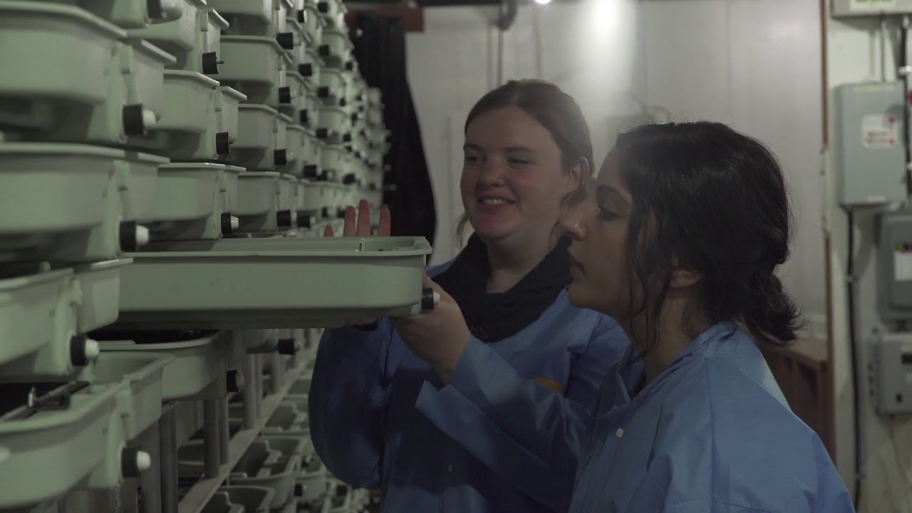 SeaWestNews - Dr. Terra MacDonald - BCSFA - Part 3