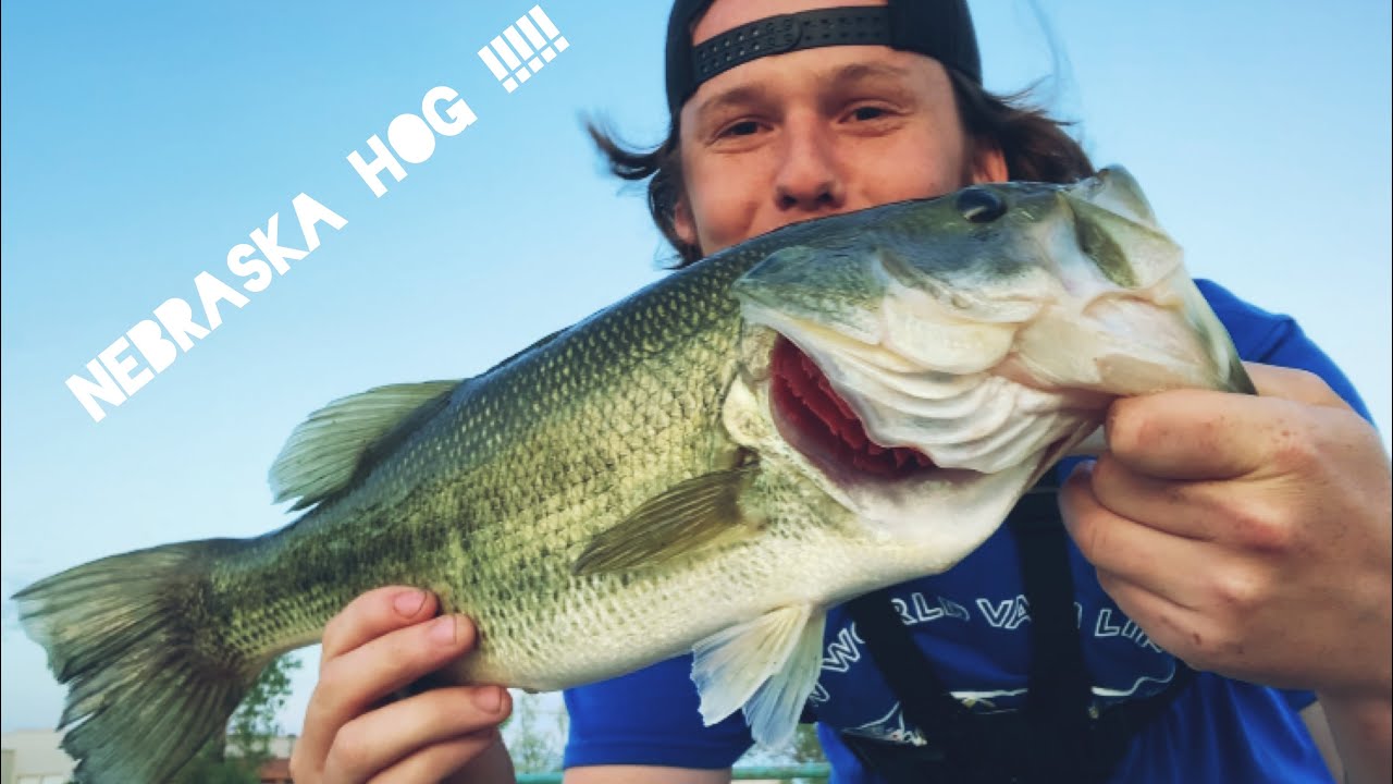 Nebraska Bass Fishing (CHATTER BAIT !!!) 🎣 YouTube