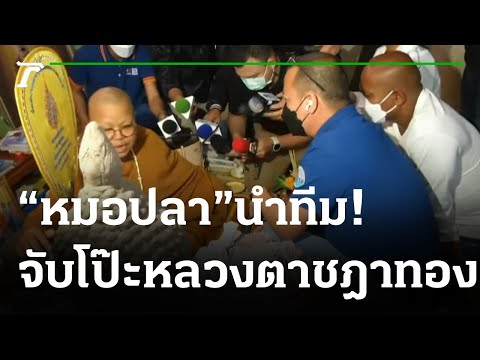 วีดีโอ: ใบอนุญาตทองคืออะไร?