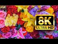 The Largest Flower Collection in the World 8K HDR 60FPS DEMO