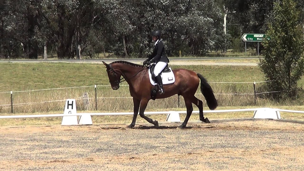 Norsey Prelim 1.2 dressage test YouTube Norsey Prelim 1.2 dressage test YouTube