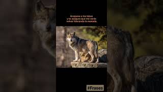 #parati #frasesinspiradoras #manada #lobos #lider #street