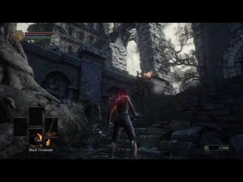 How To Kill The Crystal Lizard In Firelink 