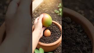 Copyright Free Video | Free Stock Footage HD | No Copyright Video for YouTube | Royalty Free Clips
