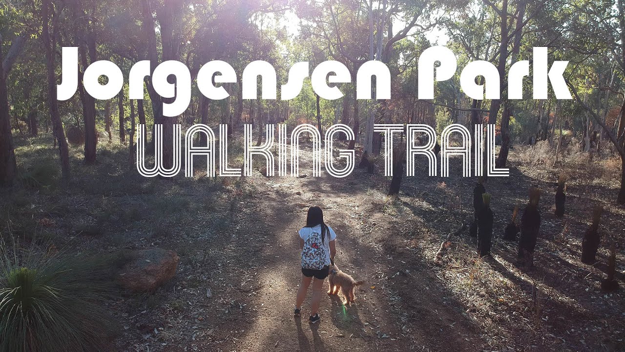 Dog Friendly Walking Trail at Jorgensen Park