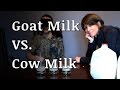 Blind Taste Test: Goat Milk vs Cow Milk